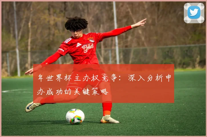 年世界杯主办权竞争:深入分析申办成功的关键策略