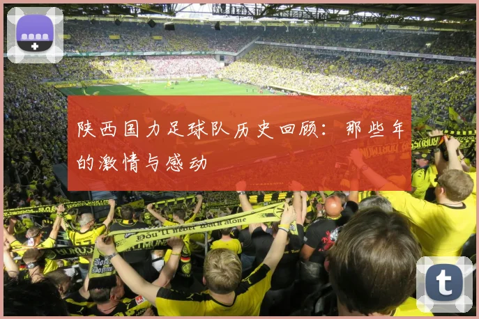 陕西国力足球队历史回顾:那些年的激情与感动